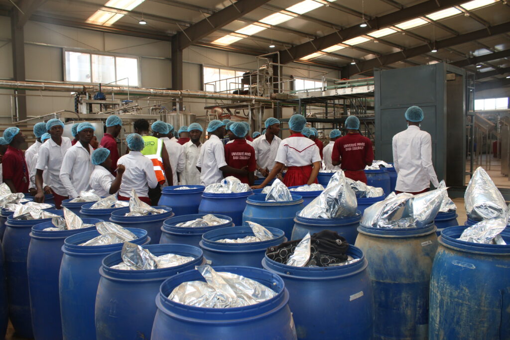 Etapes de production